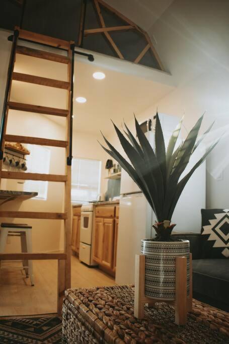 Agave Tiny House At Cactus Flower-Hot Tub-Pet Friendly-No Pet Fees! แอลบูเคอร์คี ภายนอก รูปภาพ